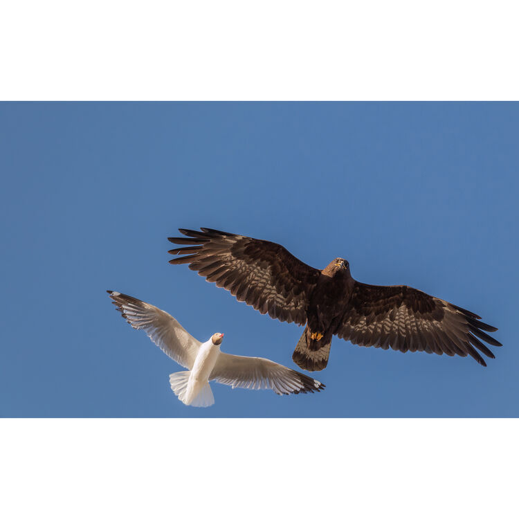 Fujifilm FUJINON XF400mmF4.5 R LM OIS WR Lens