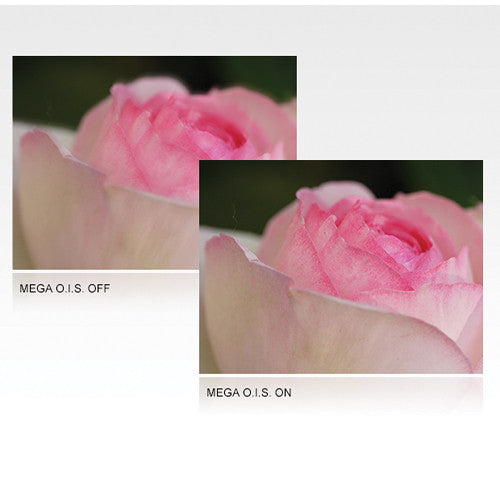 Panasonic Lumix G 30mm f/2.8 ASPH MEGA OIS Macro Lens