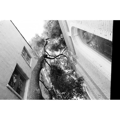 LOMOGRAPHY Berlin Kino Black and White 400 ISO 35mm x 36 exp.