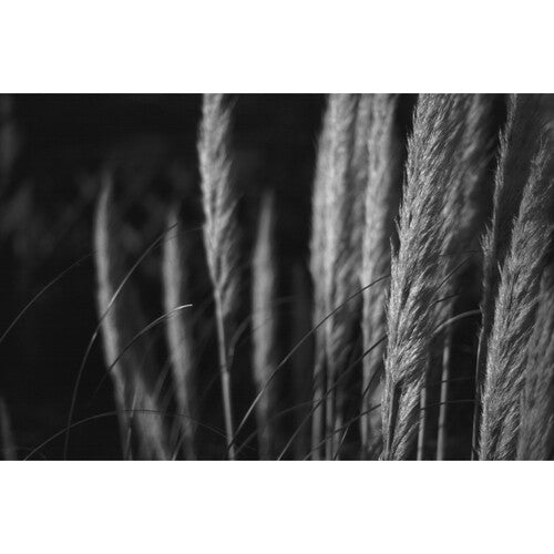 Lomography Babylon Kino B&W 35mm IS 13