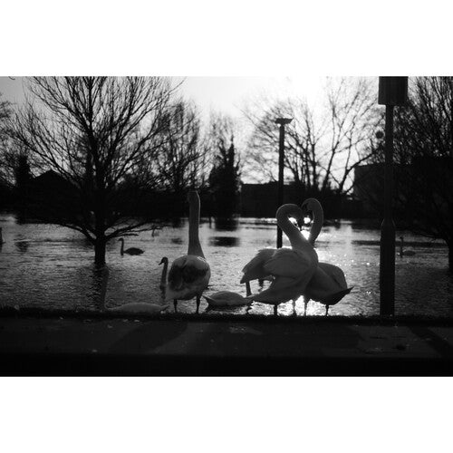 Lomography Babylon Kino B&W 35mm IS 13