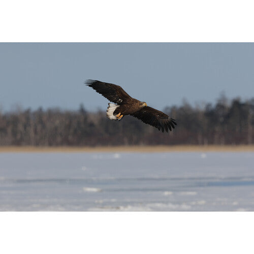 Canon EOS R7 Mirrorless Camera with 18-150mm Lens