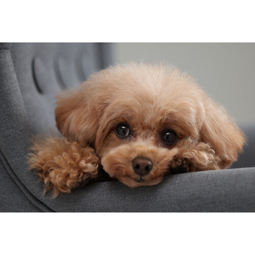 Canon EOS R10 Mirrorless Camera with 18-45mm Lens