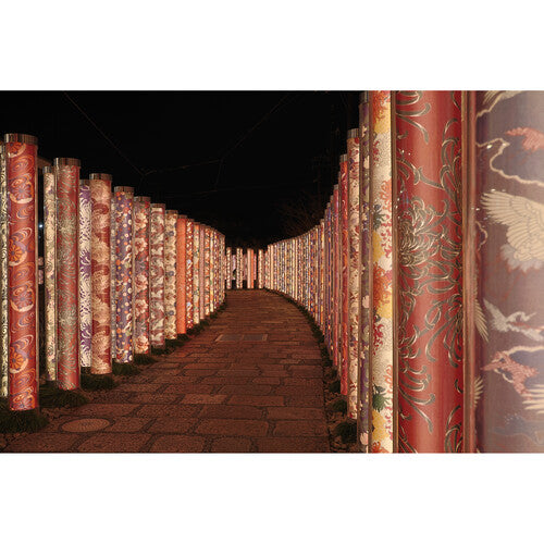 Canon EOS R10 Mirrorless Camera with 18-45mm Lens