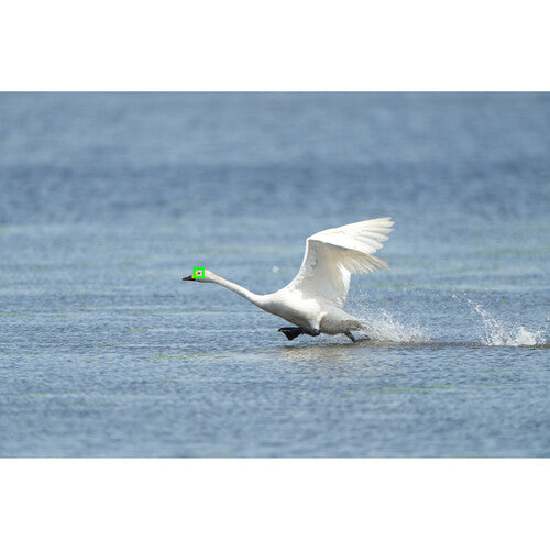 Sony a7R V Mirrorless Camera