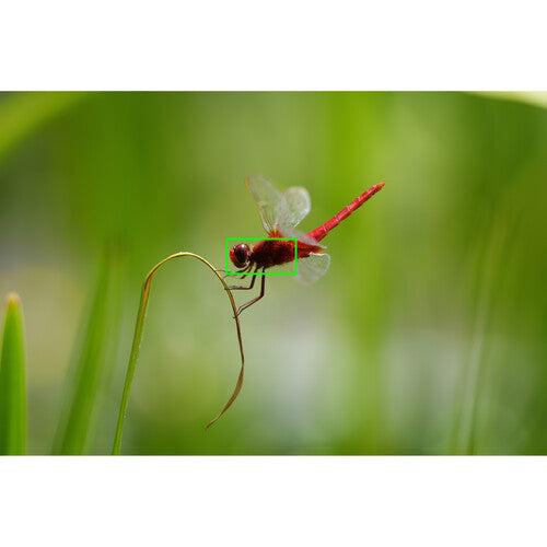 Sony a7R V Mirrorless Camera