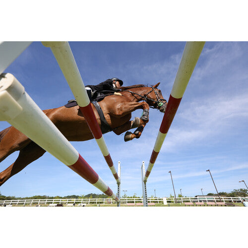 Canon EOS R6 Mark II Mirrorless Camera with 24-105mm f/4 Lens