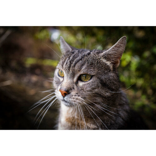 Leica Q3 Digital Camera