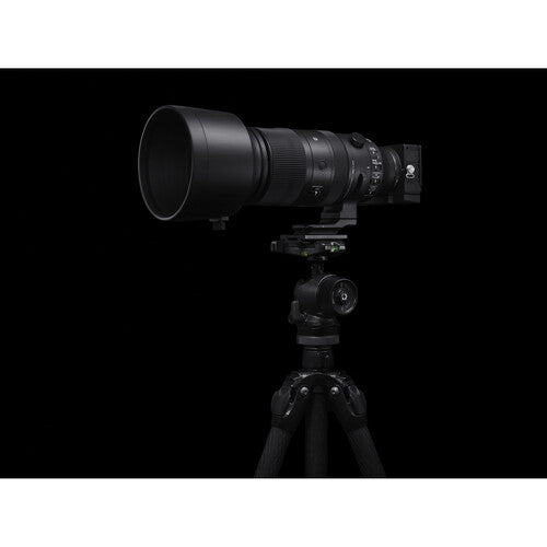 Sigma 60-600mm F4.5-6.3 DG DN OS | Sports for Leica L-Mount