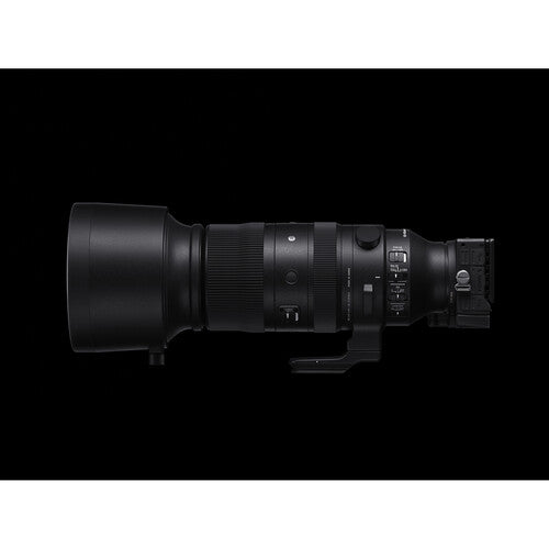 Sigma 60-600mm F4.5-6.3 DG DN OS | Sports for Leica L-Mount