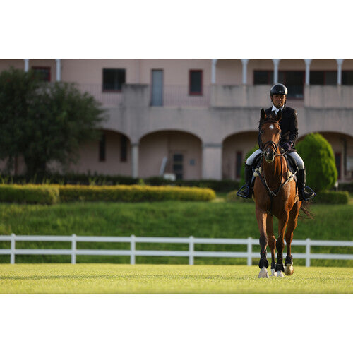 Canon EOS R6 Mark II Mirrorless Camera with 24-105mm f/4 Lens