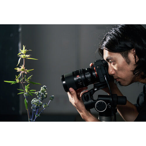 Sony FE 100mm f/2.8 Macro GM Lens (Sony E)