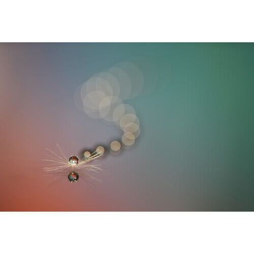 Sony FE 100mm f/2.8 Macro GM Lens (Sony E)