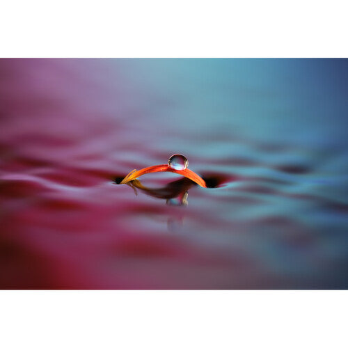 Sony FE 100mm f/2.8 Macro GM Lens (Sony E)