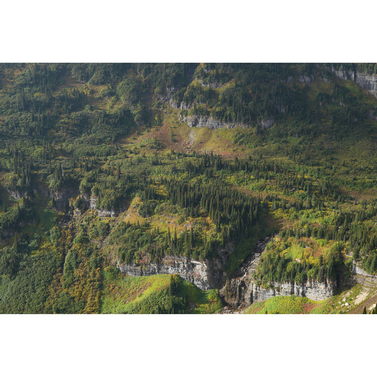 Sony FE 28-70mm f/3.5-5.6 OSS II Lens (Sony E)