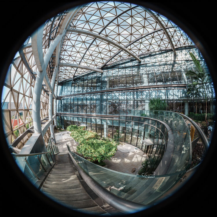 Laowa 4.5-10mm f/2.8 CF Zoom Fisheye Lens
