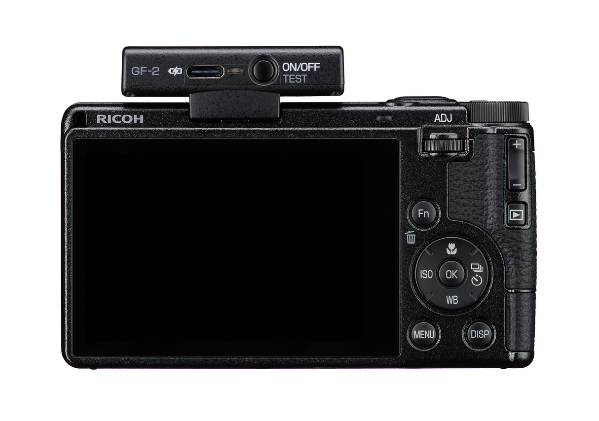 Ricoh External Flash GF-2