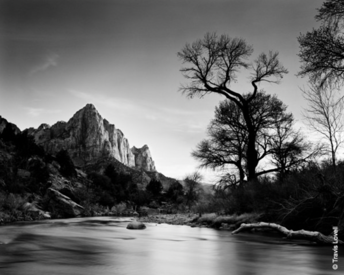 Kodak Professional T-Max 100 Black and White Negative Film (35mm Roll Film, 36 Exposures)