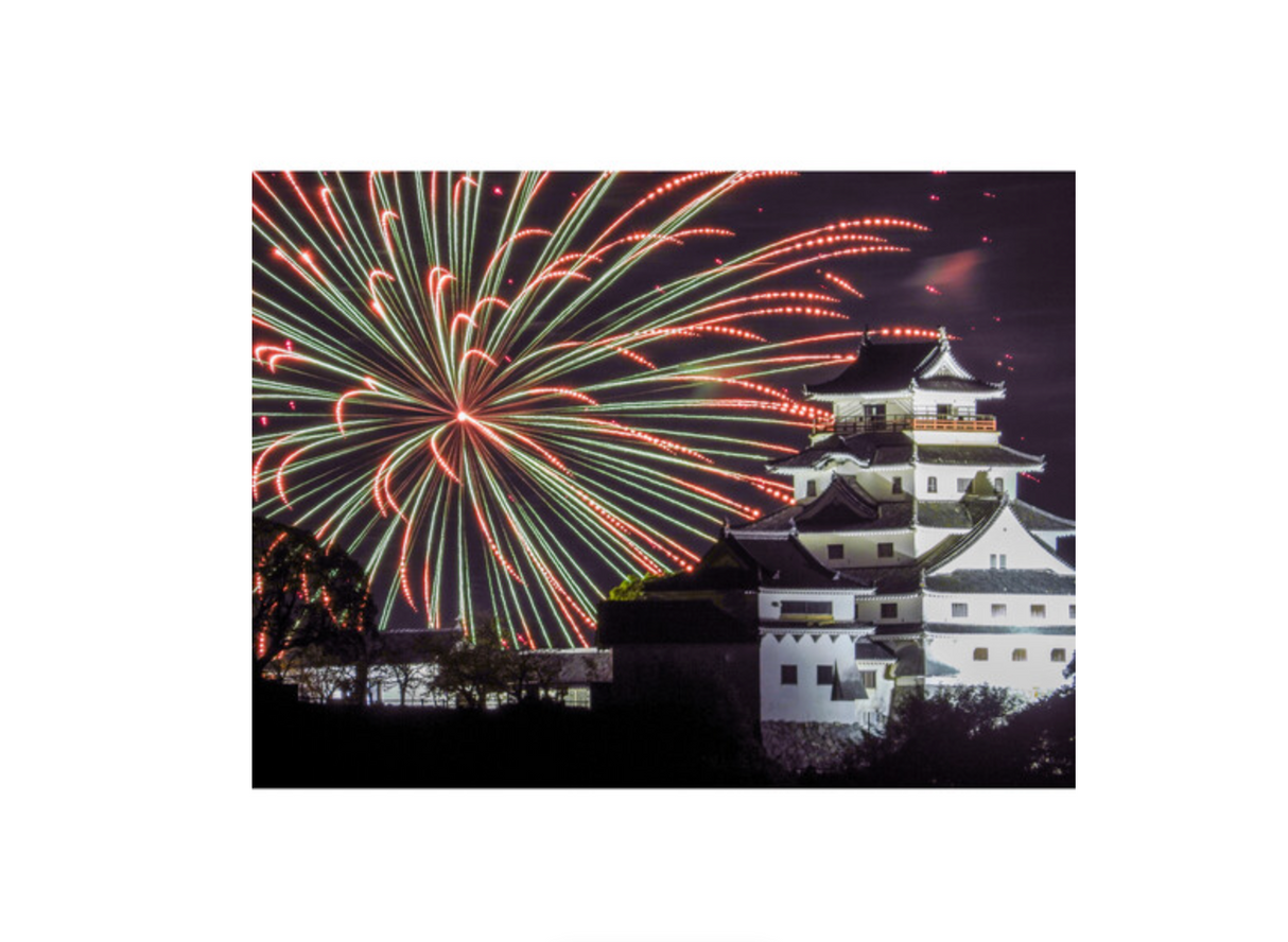 Nikon COOLPIX P1100 Digital Camera