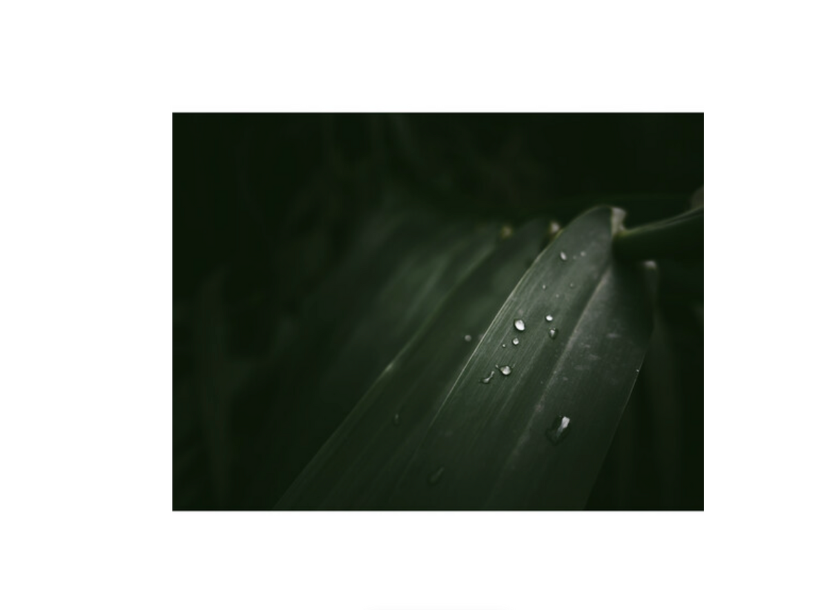 OM System OM-3 Body