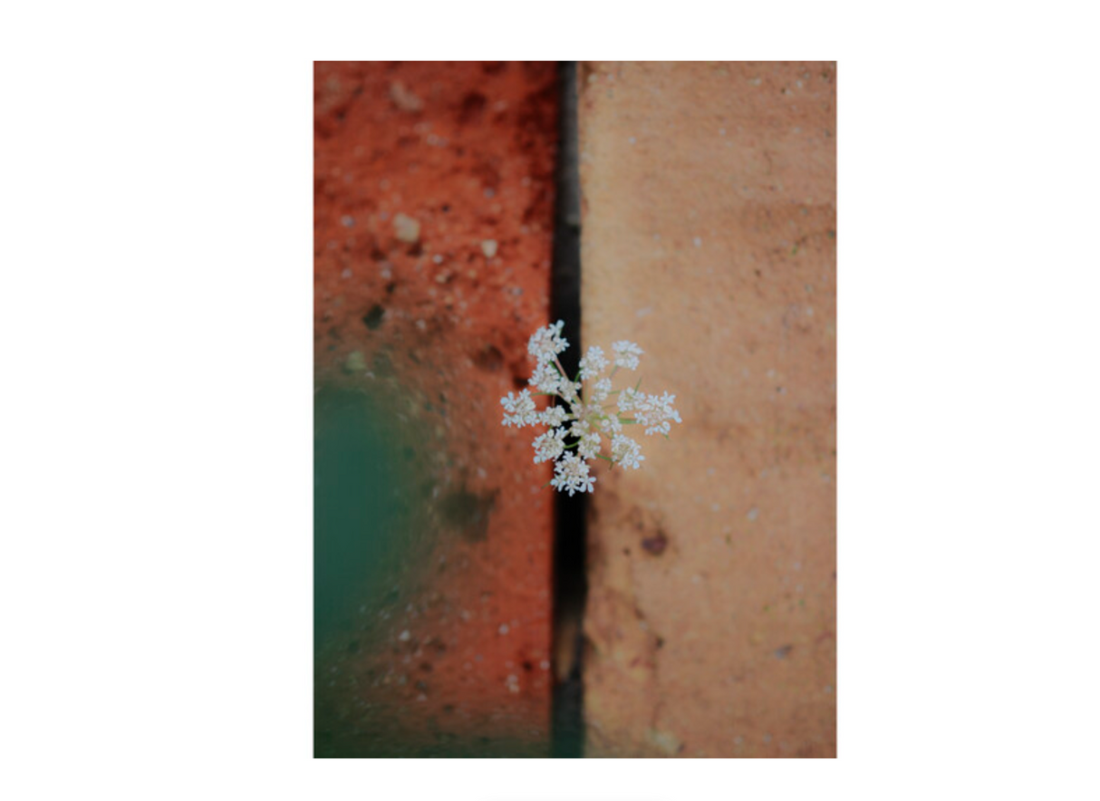 OM System OM-3 Body