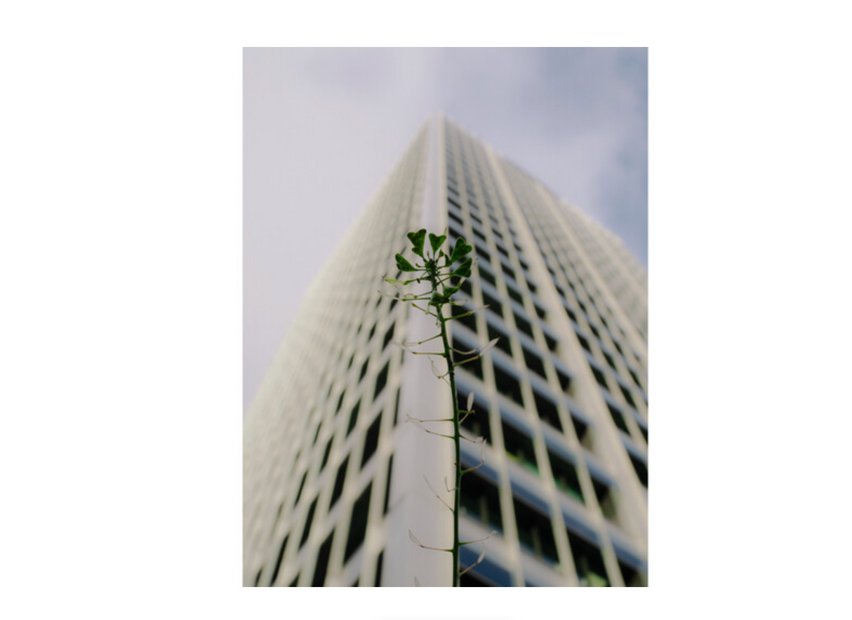 OM System OM-3 Body