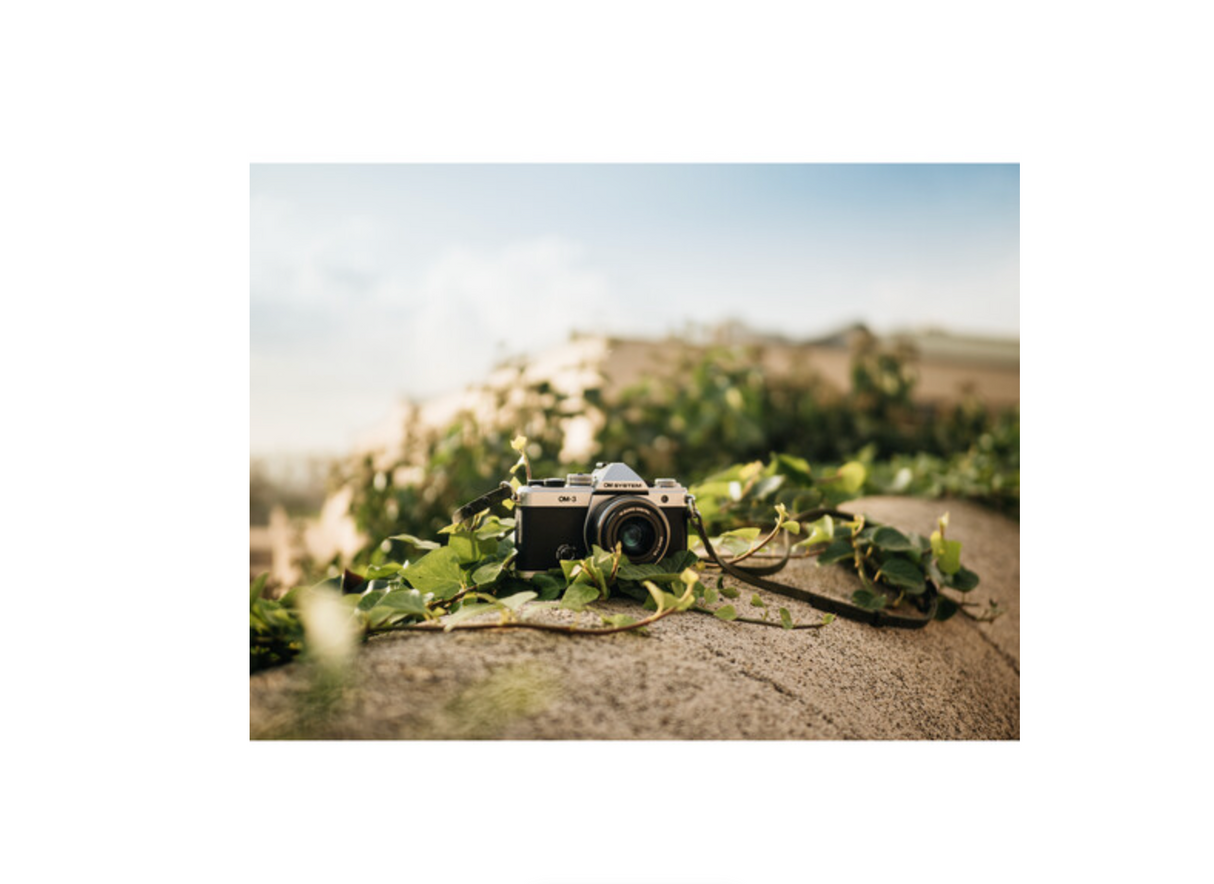 OM System OM-3 with M.Zuiko Digital ED 12-45mm