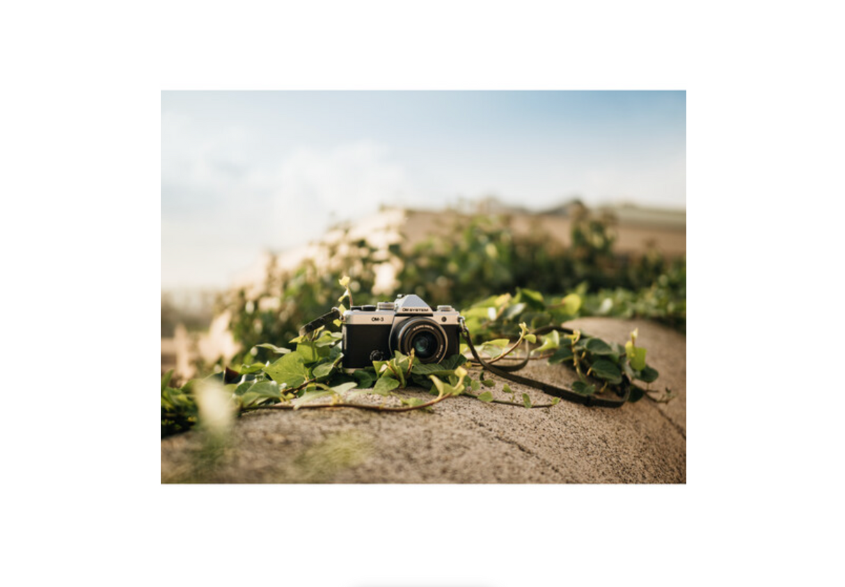 OM System M.Zuiko Digital 25mm F1.8 II