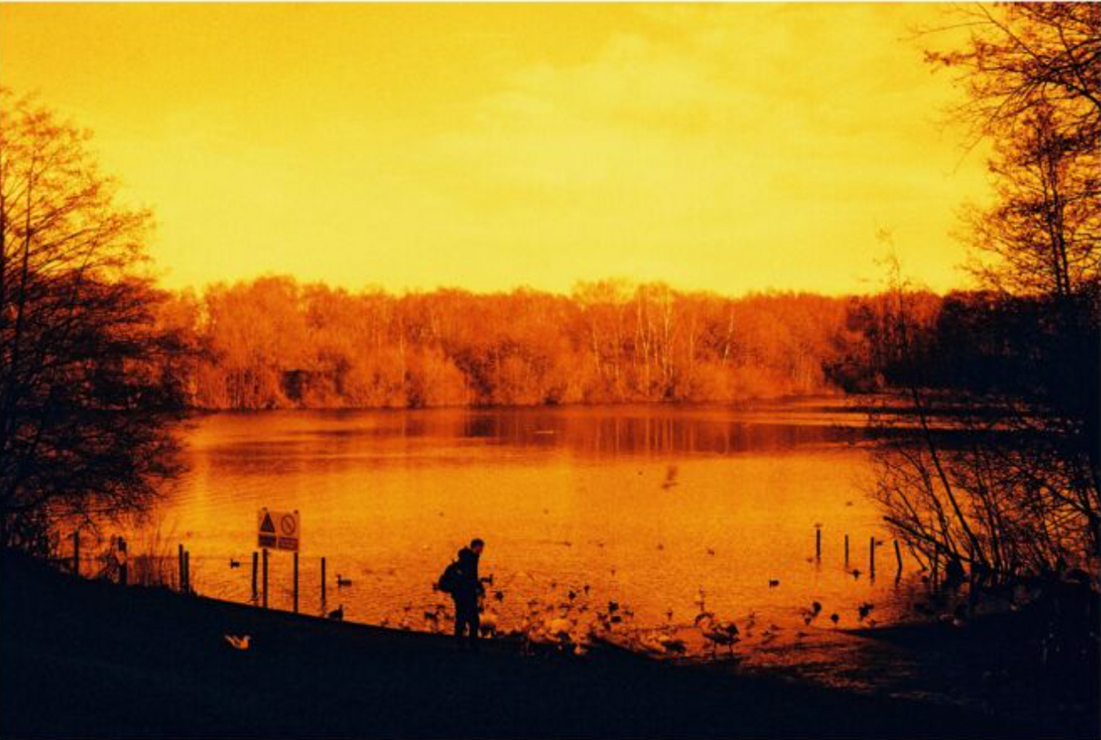 HARMAN RED 125 Redscale Film (35mm Roll Film, 36 Exposures)