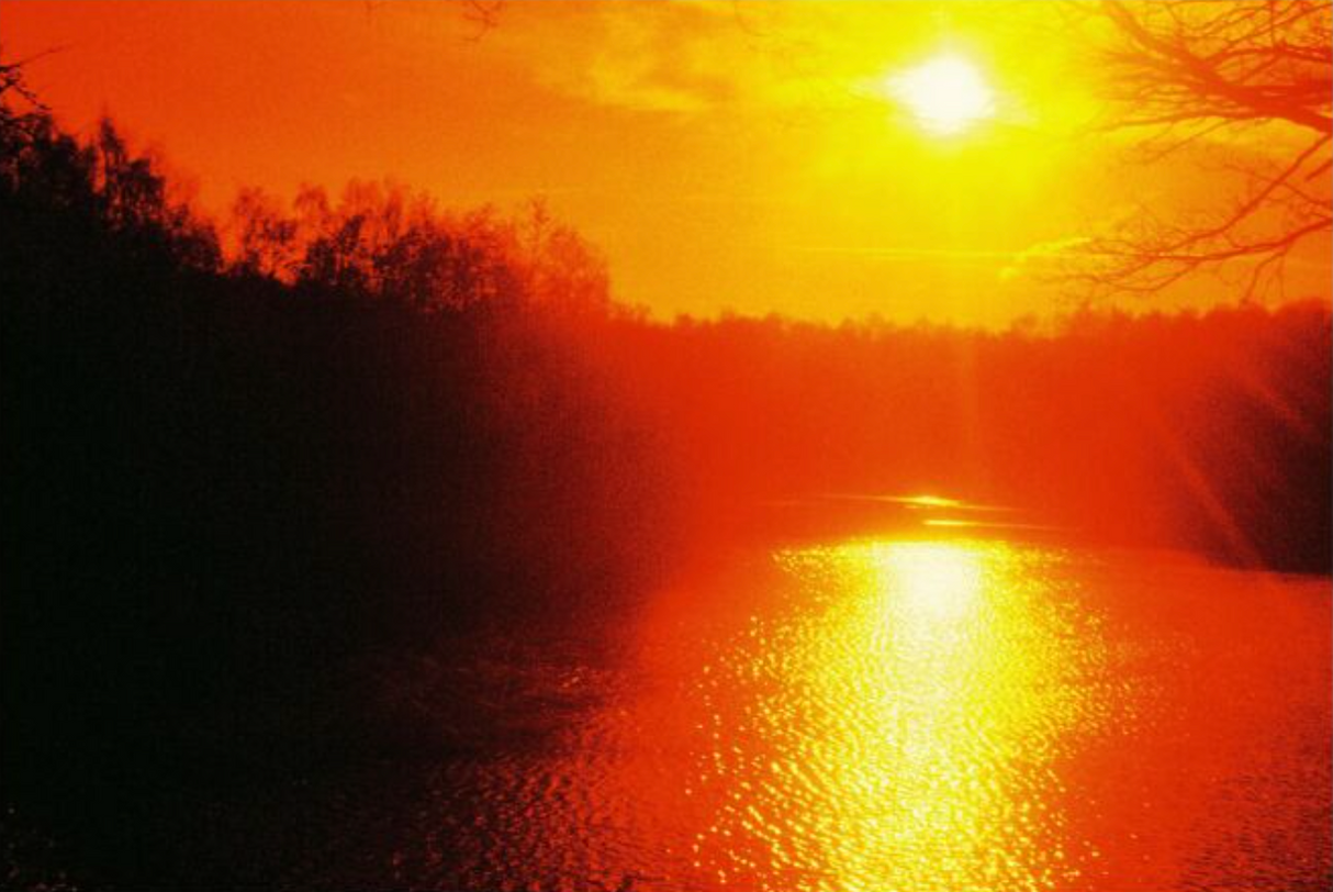 HARMAN RED 125 Redscale Film (35mm Roll Film, 36 Exposures)