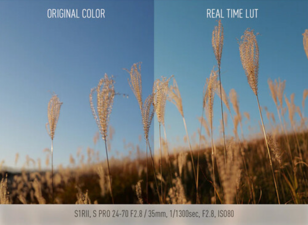 Panasonic LUMIX S1RII Mirrorless Camera