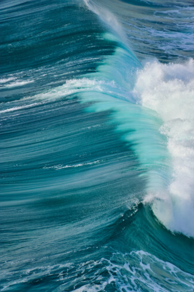 Sigma 16-300mm f/3.5-6.7 DC OS Contemporary Lens (Canon RF)