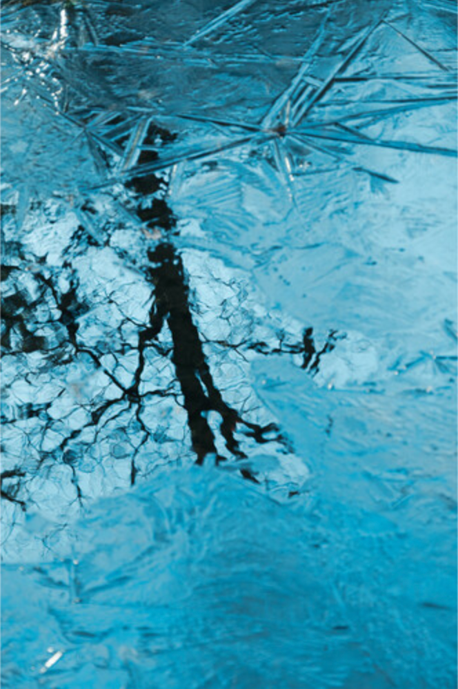 Sigma 16-300mm f/3.5-6.7 DC OS Contemporary Lens (Sony E)