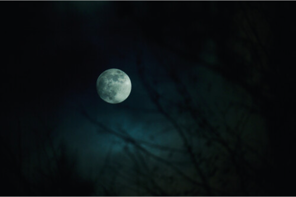 Sigma 16-300mm f/3.5-6.7 DC OS Contemporary Lens (FUJIFILM X)