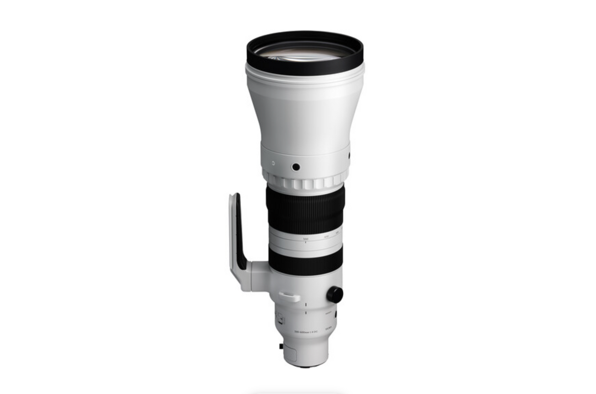 Sigma 300-600mm f/4 DG OS Sports Lens (Sony E)