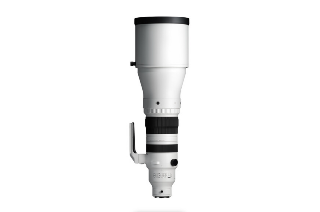Sigma 300-600mm f/4 DG OS Sports Lens (Sony E)