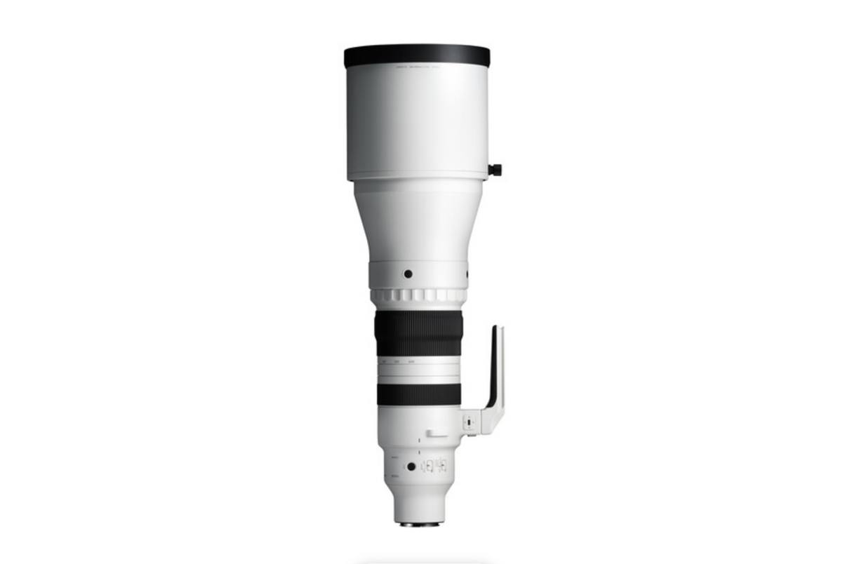 Sigma 300-600mm f/4 DG OS Sports Lens (L-Mount)