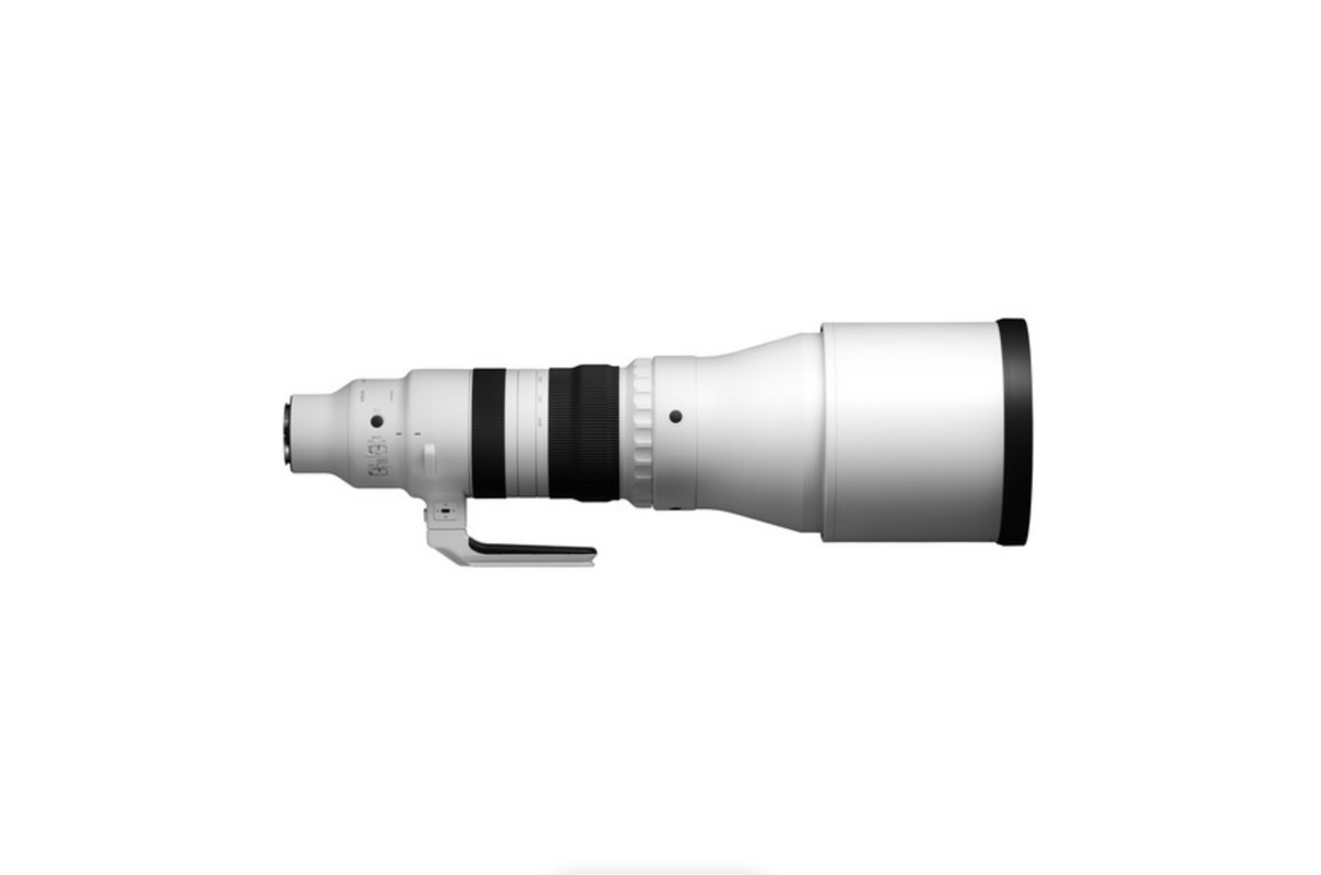 Sigma 300-600mm f/4 DG OS Sports Lens (L-Mount)