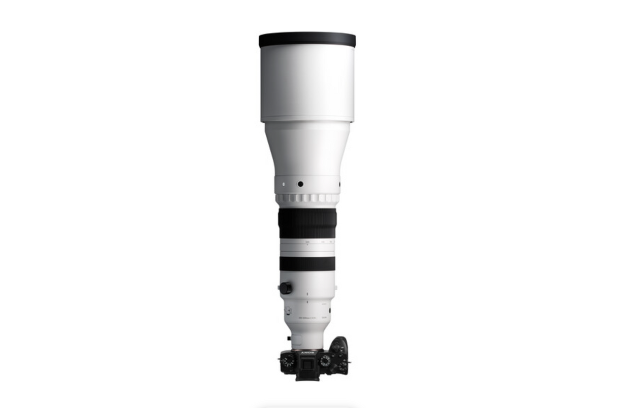 Sigma 300-600mm f/4 DG OS Sports Lens (Sony E)