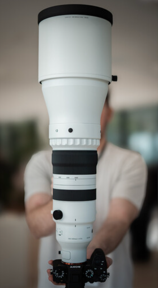 Sigma 300-600mm f/4 DG OS Sports Lens (Sony E)