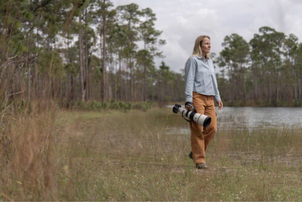 Sony FE 400-800mm f/6.3-8 G OSS