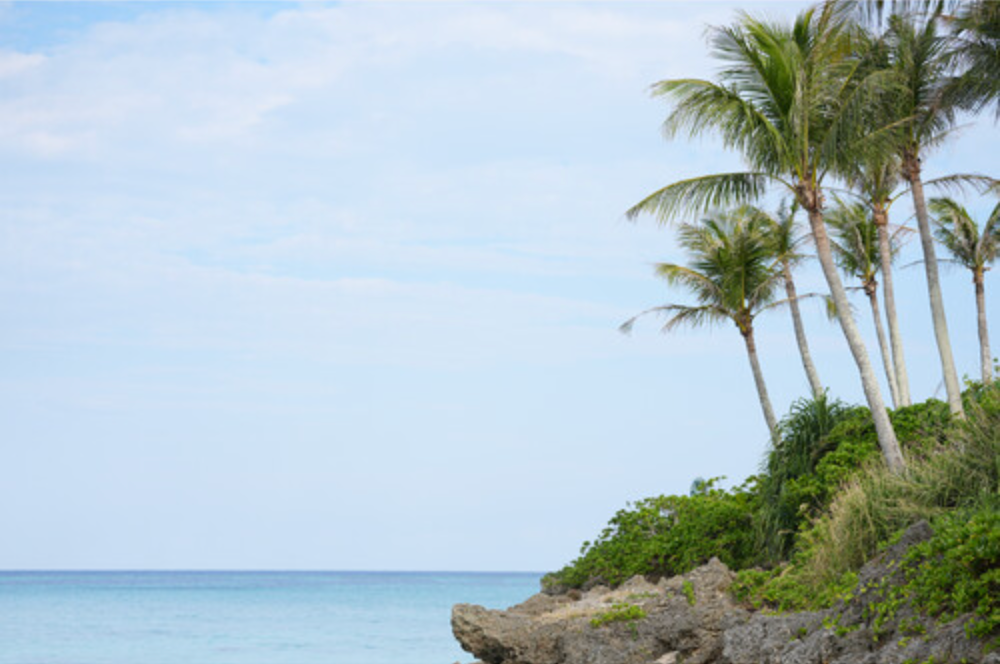 Sony FE 50-150mm f/2 GM Lens (Sony E)