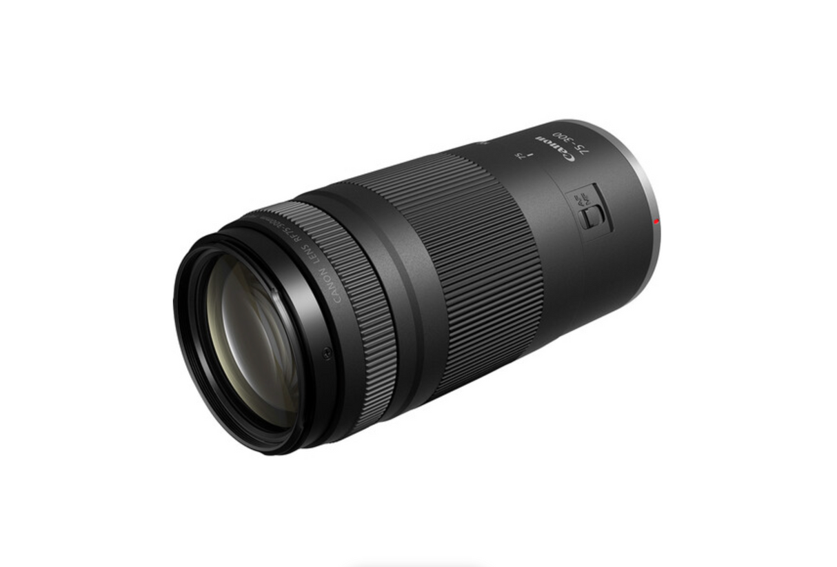 Canon EOS R100 DOUBLE LENS ZOOM KIT