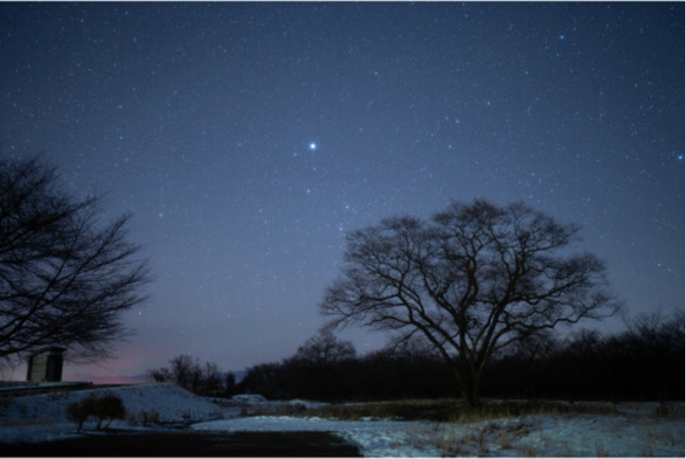 Sigma 35mm F1.2 DG II  Art for L Mount