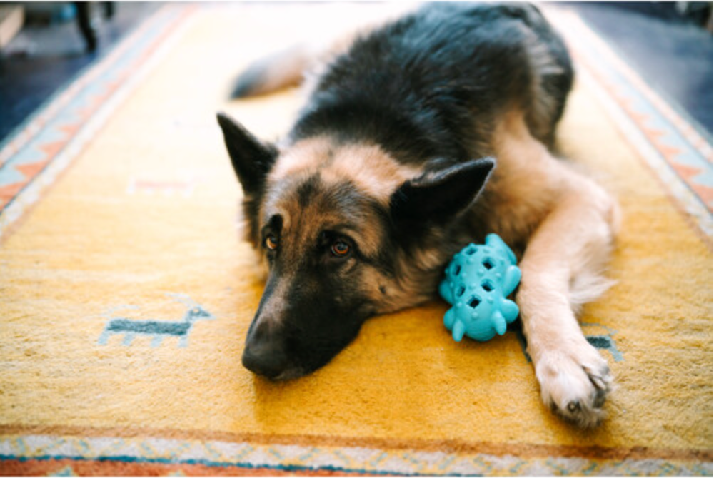 Sigma 35mm F1.2 DG II  Art for L Mount