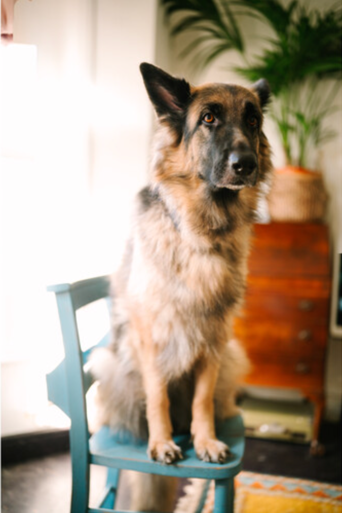 Sigma 35mm F1.2 DG II  Art for L Mount