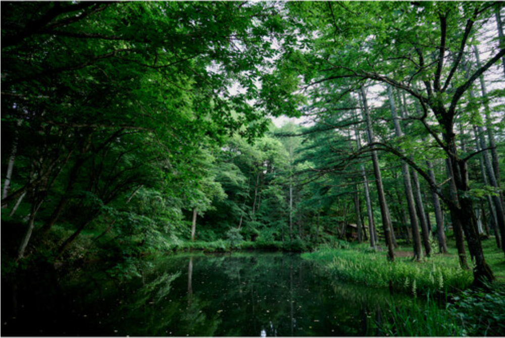 Sigma 20-200mm F3.5-6.3 DG Contemporary Lens for L Mount