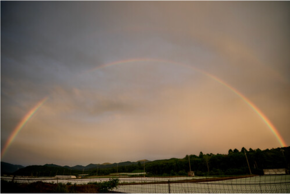 Sigma 20-200mm F3.5-6.3 DG Contemporary Lens for L Mount