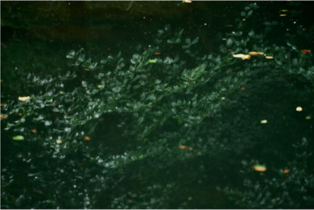 Sigma 20-200mm F3.5-6.3 DG Contemporary Lens for L Mount