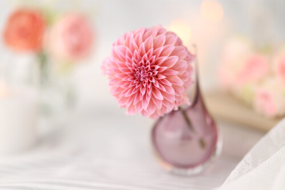 Canon RF 85mm f/1.4 L VCM Lens